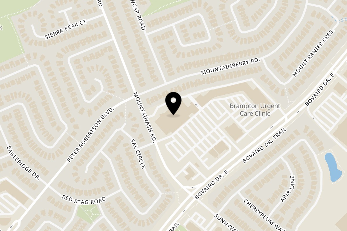 Map showing the location of Fruitsilla Brampton on 55 Mountainash Road in Brampton
